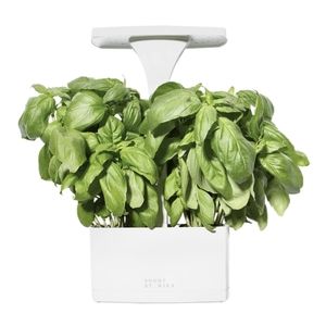 Short Stories Indoor Planter Kit w/LED lights